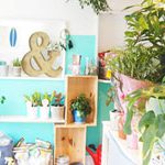 【Find Hawaii】モダンハワイのライフスタイルを提案。部屋に飾りたい観葉植物に出会えるお店